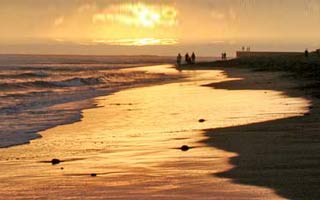 Gran canaria m